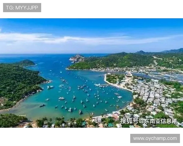 广海足球文化深度探讨：越南足球崛起与未来发展潜力解析